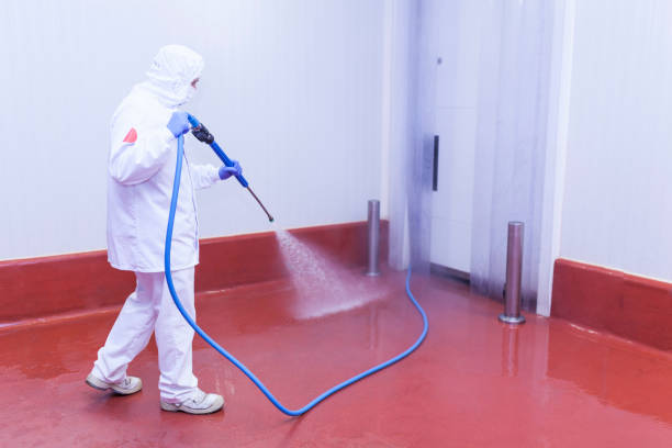 Best Warehouse Cleaning  in Ocala Estates, FL